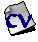 curriculum vitae